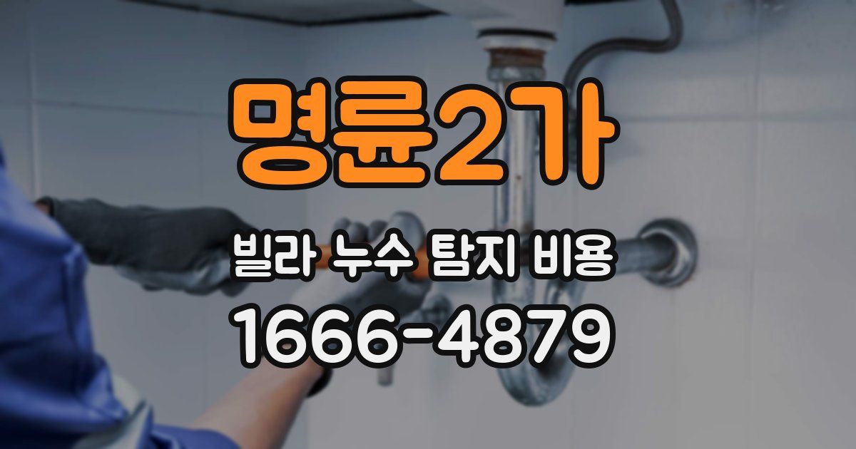 명륜2가 빌라 누수 탐지 비용