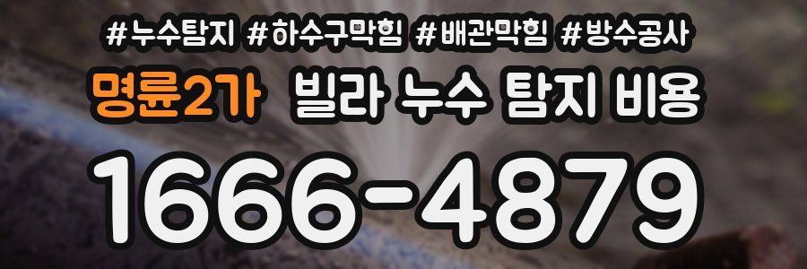 명륜2가 빌라 누수 탐지 비용