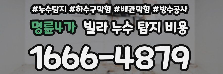 명륜4가 빌라 누수 탐지 비용