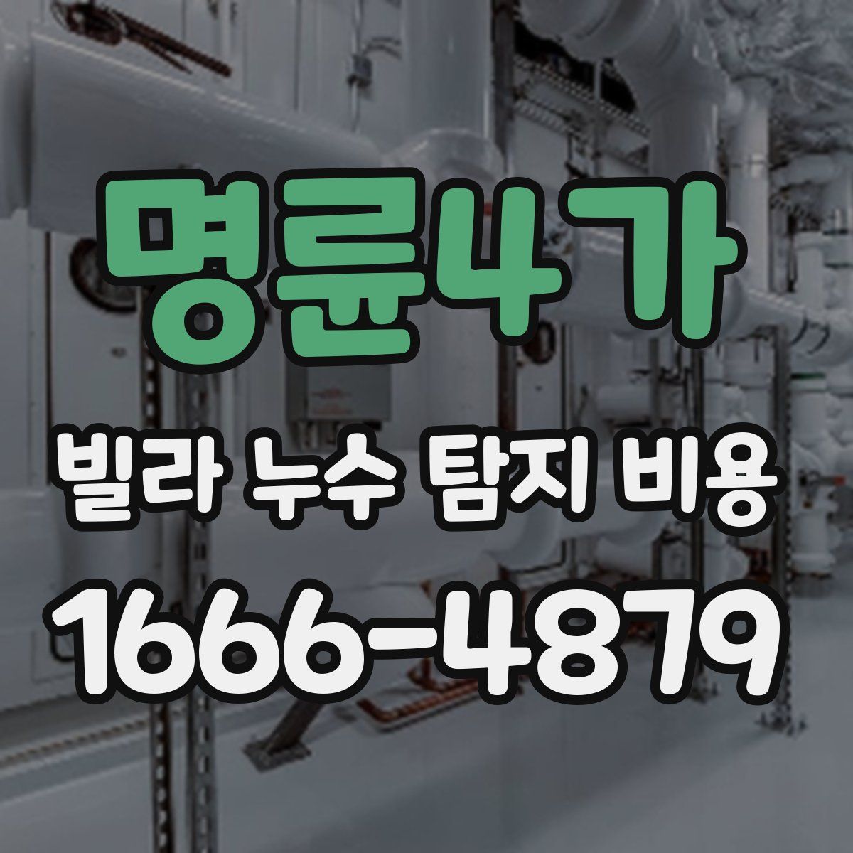 명륜4가 빌라 누수 탐지 비용