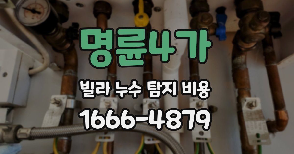 명륜4가 빌라 누수 탐지 비용