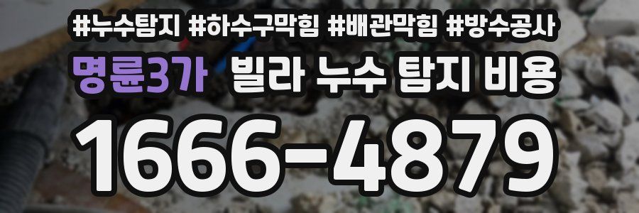 명륜3가 빌라 누수 탐지 비용