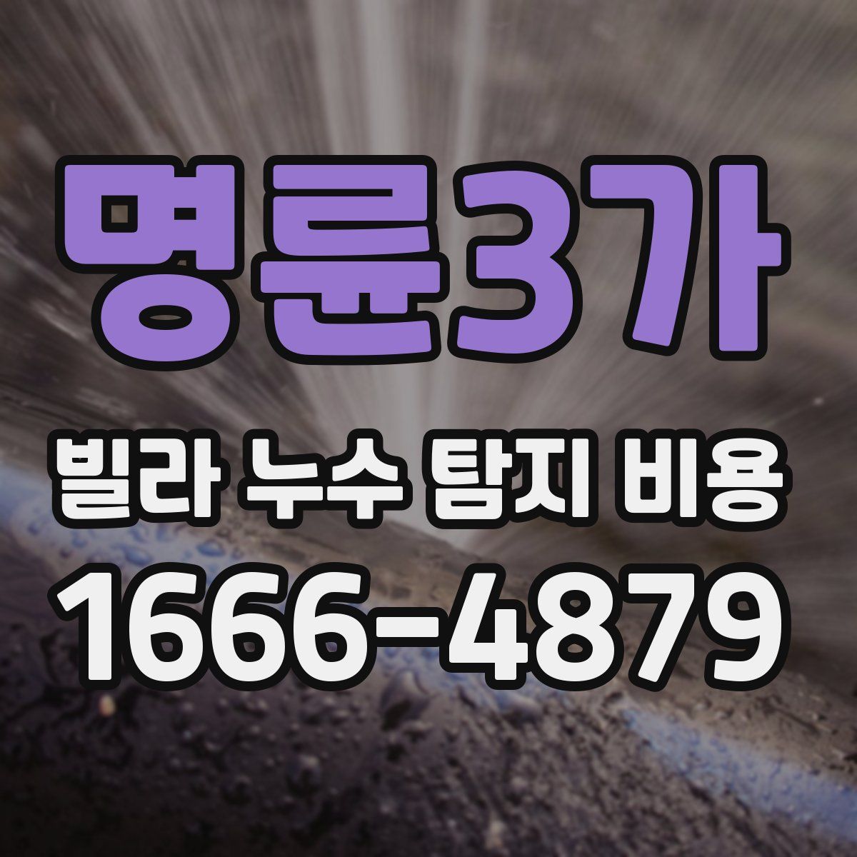명륜3가 빌라 누수 탐지 비용