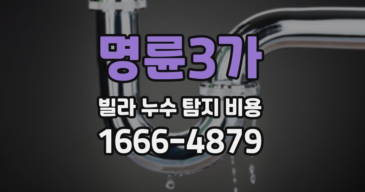 명륜3가 빌라 누수 탐지 비용