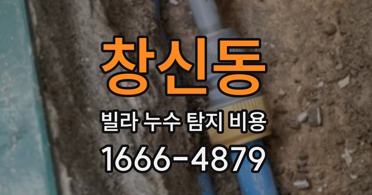창신동 빌라 누수 탐지 비용