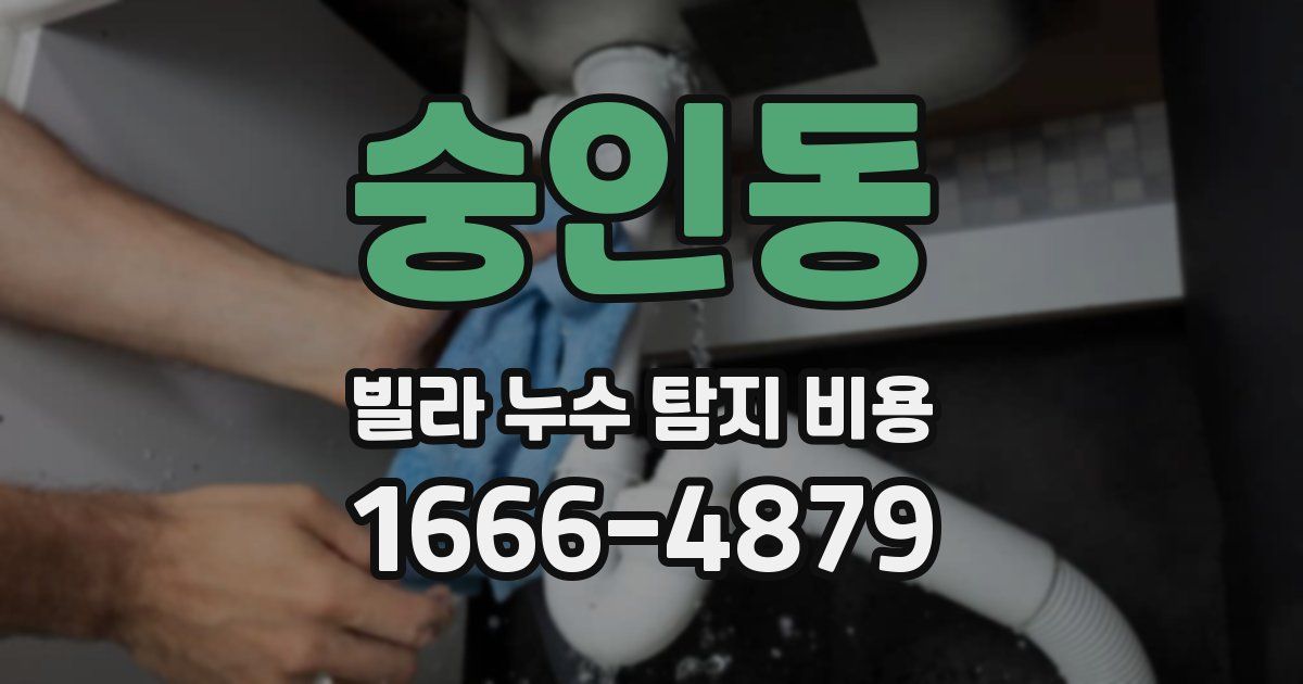 숭인동 빌라 누수 탐지 비용