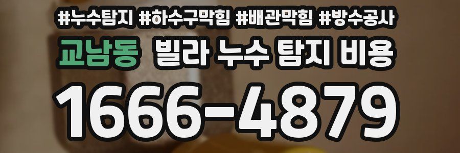 교남동 빌라 누수 탐지 비용