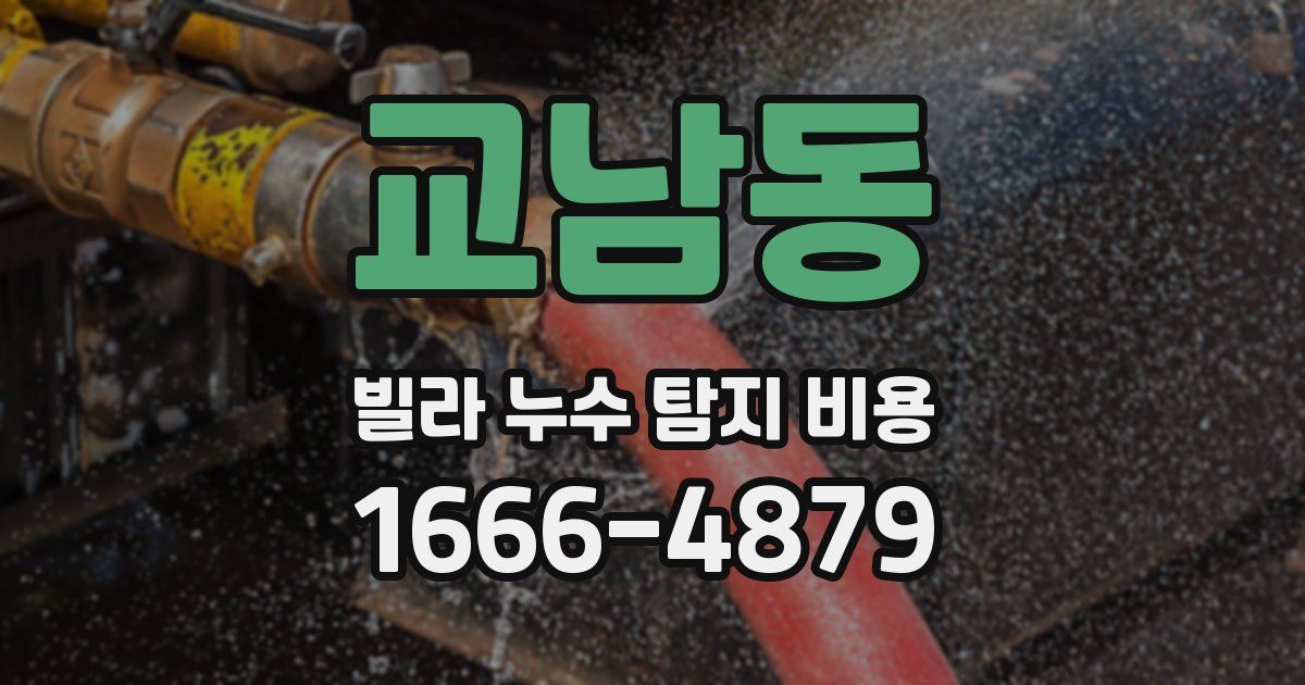 교남동 빌라 누수 탐지 비용