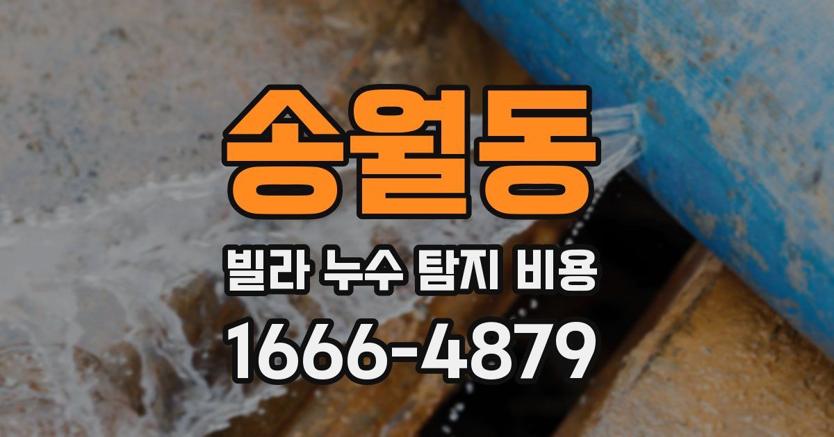 송월동 빌라 누수 탐지 비용