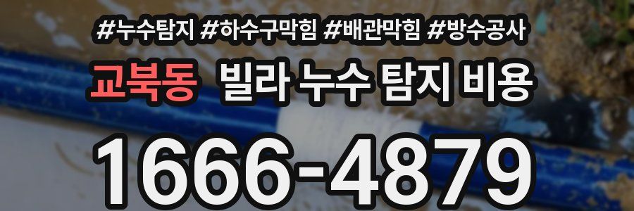 교북동 빌라 누수 탐지 비용