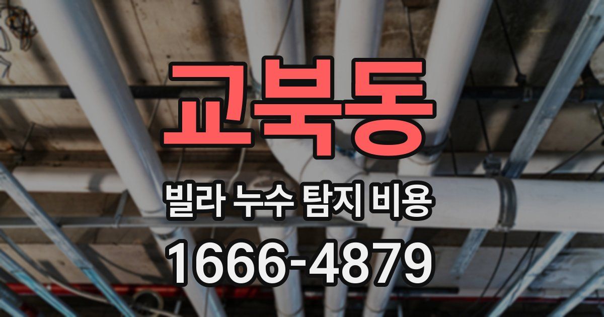 교북동 빌라 누수 탐지 비용