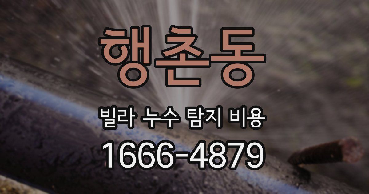 행촌동 빌라 누수 탐지 비용