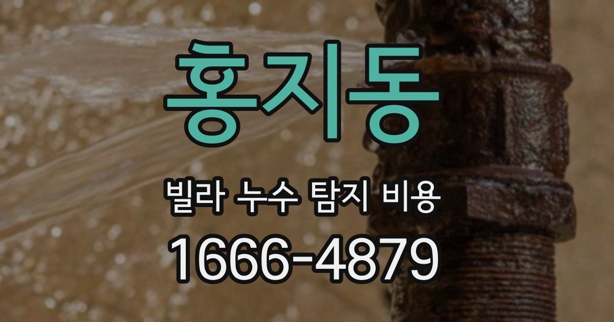 홍지동 빌라 누수 탐지 비용