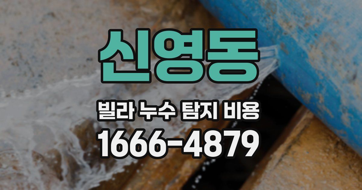 신영동 빌라 누수 탐지 비용