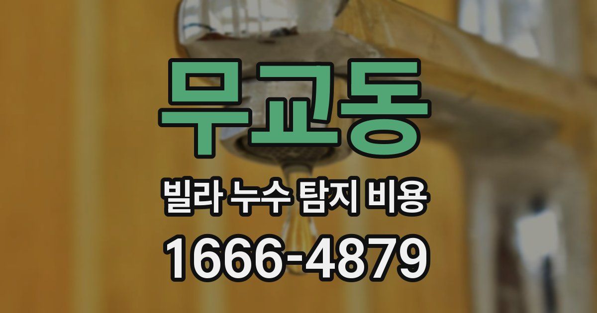 무교동 빌라 누수 탐지 비용