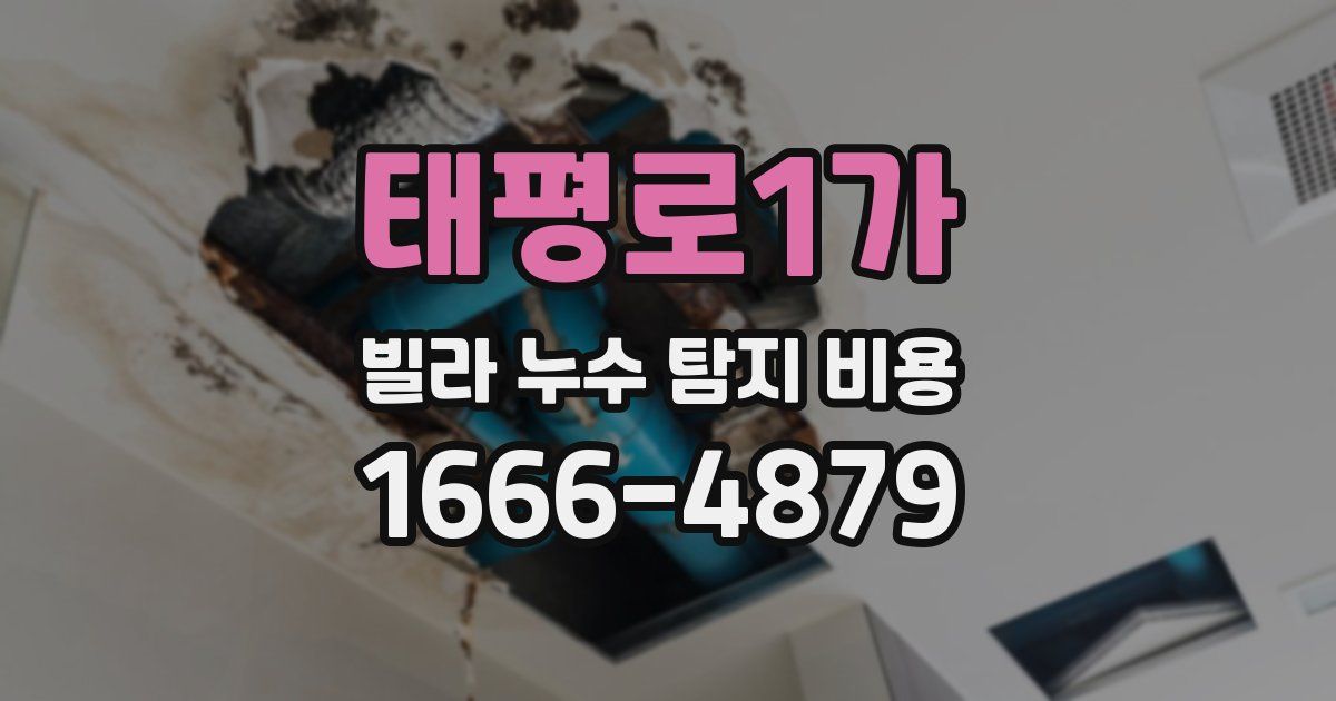 태평로1가 빌라 누수 탐지 비용