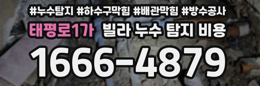 태평로1가 빌라 누수 탐지 비용