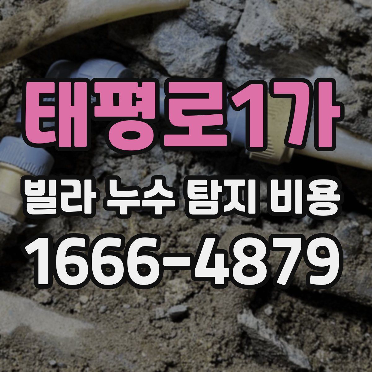 태평로1가 빌라 누수 탐지 비용
