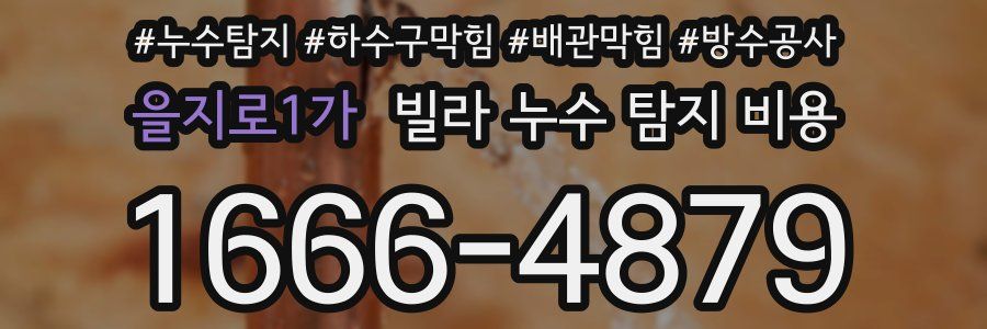 을지로1가 빌라 누수 탐지 비용