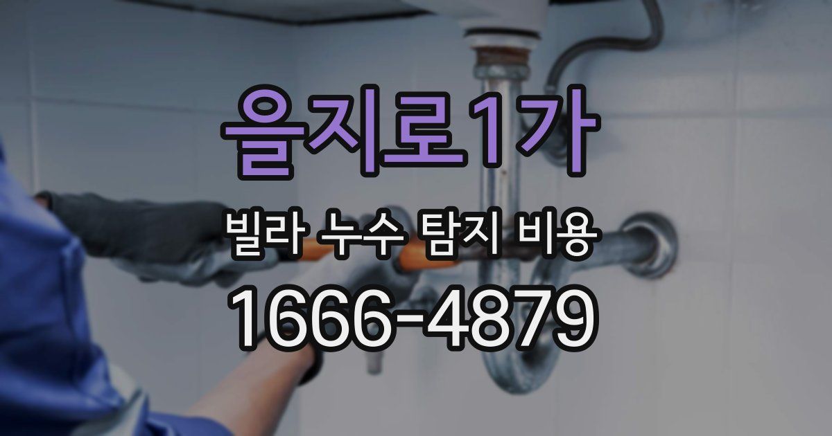 을지로1가 빌라 누수 탐지 비용