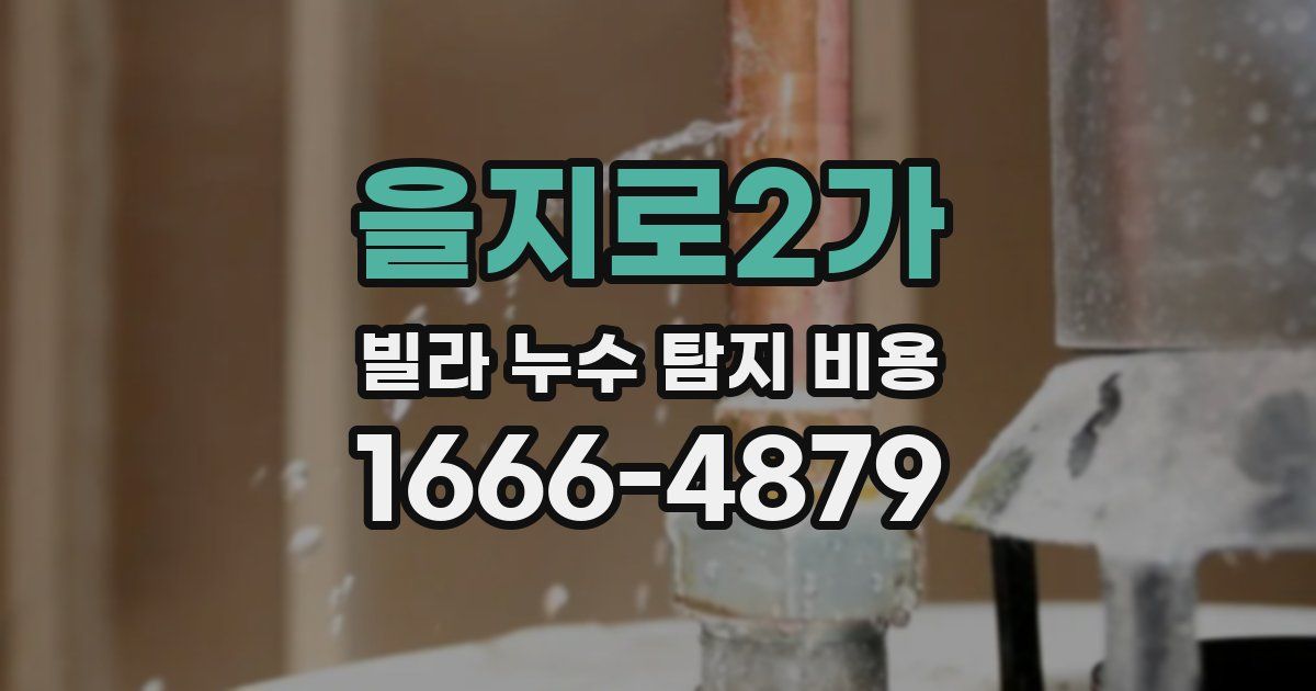 을지로2가 빌라 누수 탐지 비용