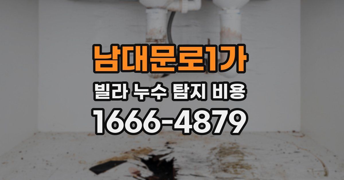 남대문로1가 빌라 누수 탐지 비용