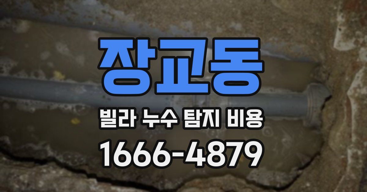 장교동 빌라 누수 탐지 비용