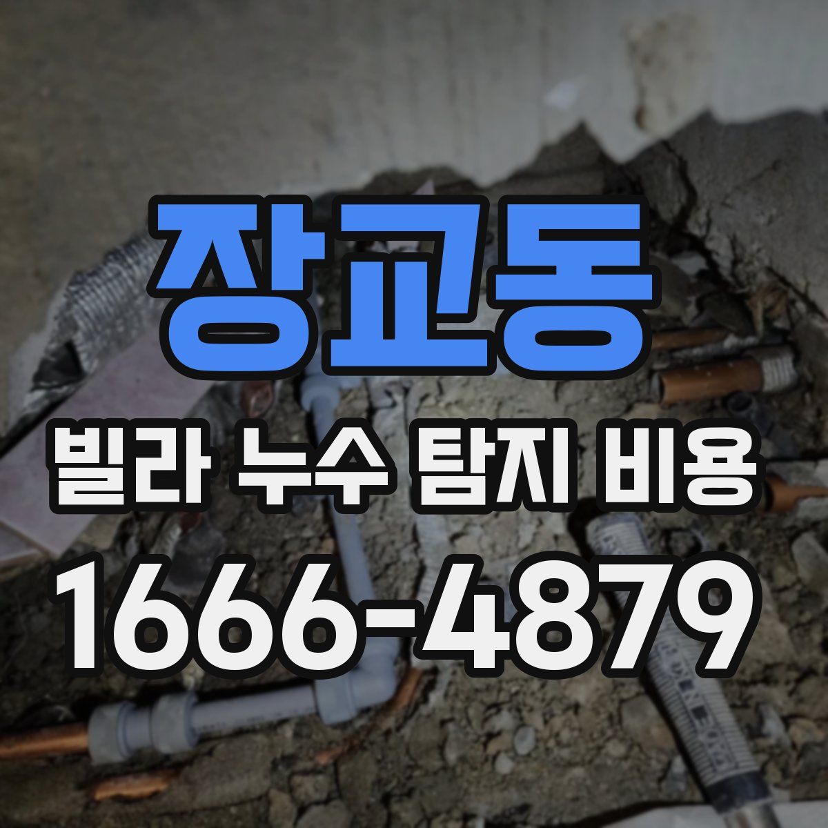 장교동 빌라 누수 탐지 비용