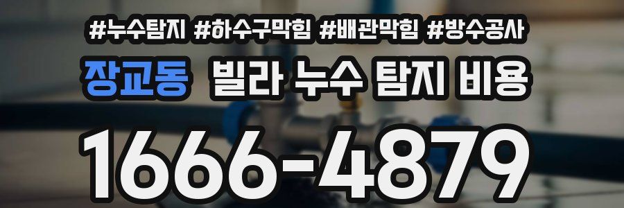 장교동 빌라 누수 탐지 비용