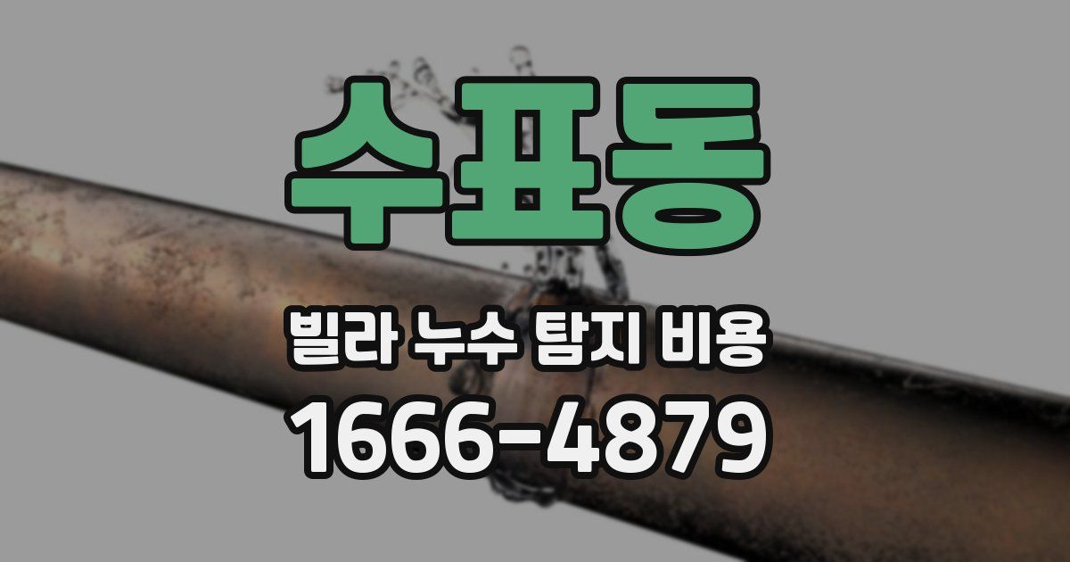 수표동 빌라 누수 탐지 비용