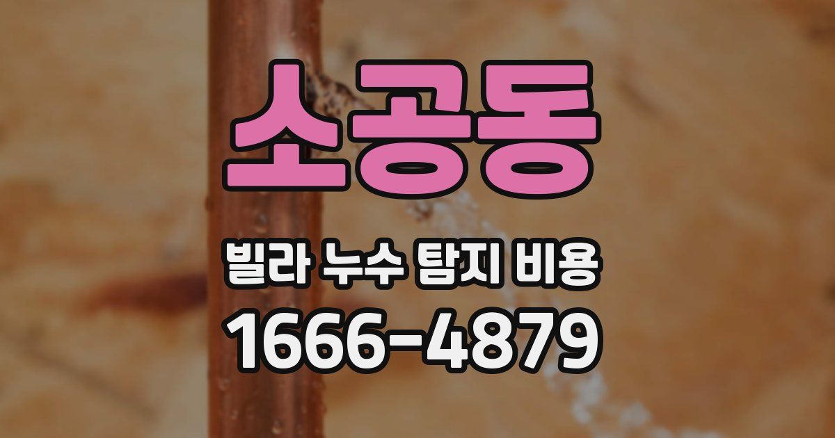 소공동 빌라 누수 탐지 비용