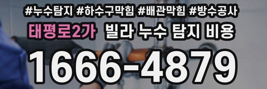 태평로2가 빌라 누수 탐지 비용