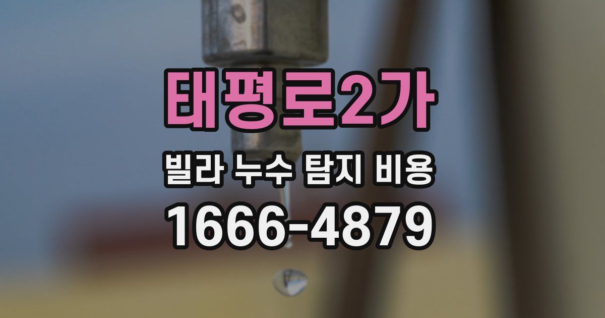 태평로2가 빌라 누수 탐지 비용