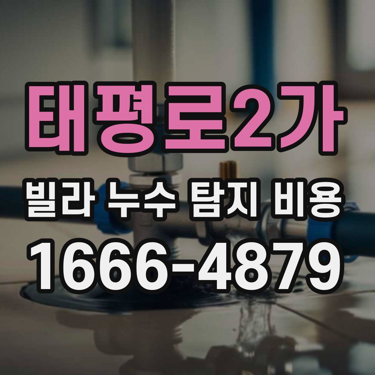 태평로2가 빌라 누수 탐지 비용