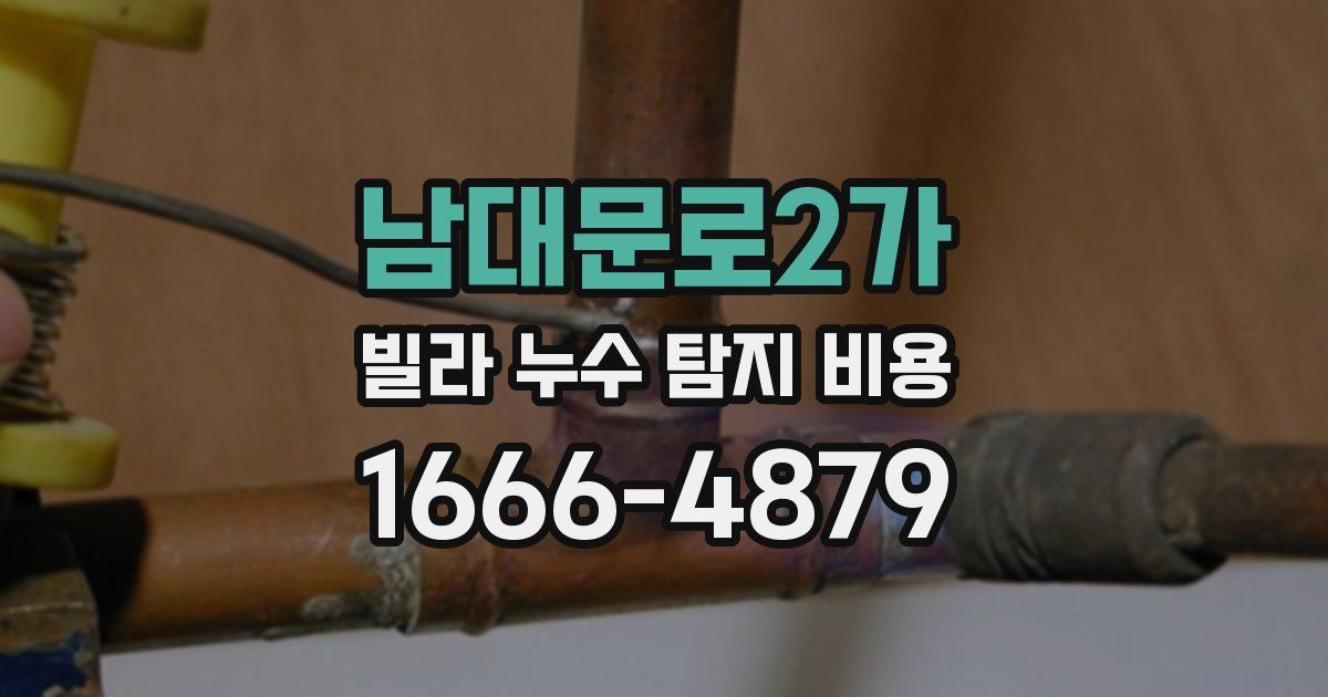 남대문로2가 빌라 누수 탐지 비용