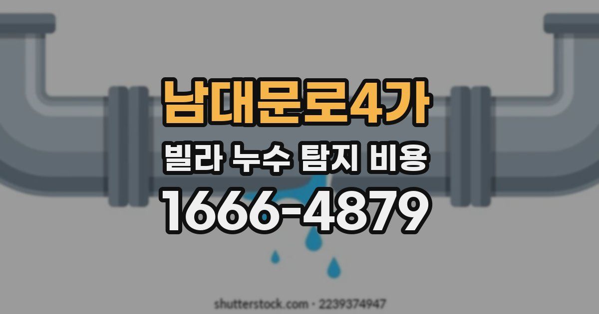 남대문로4가 빌라 누수 탐지 비용