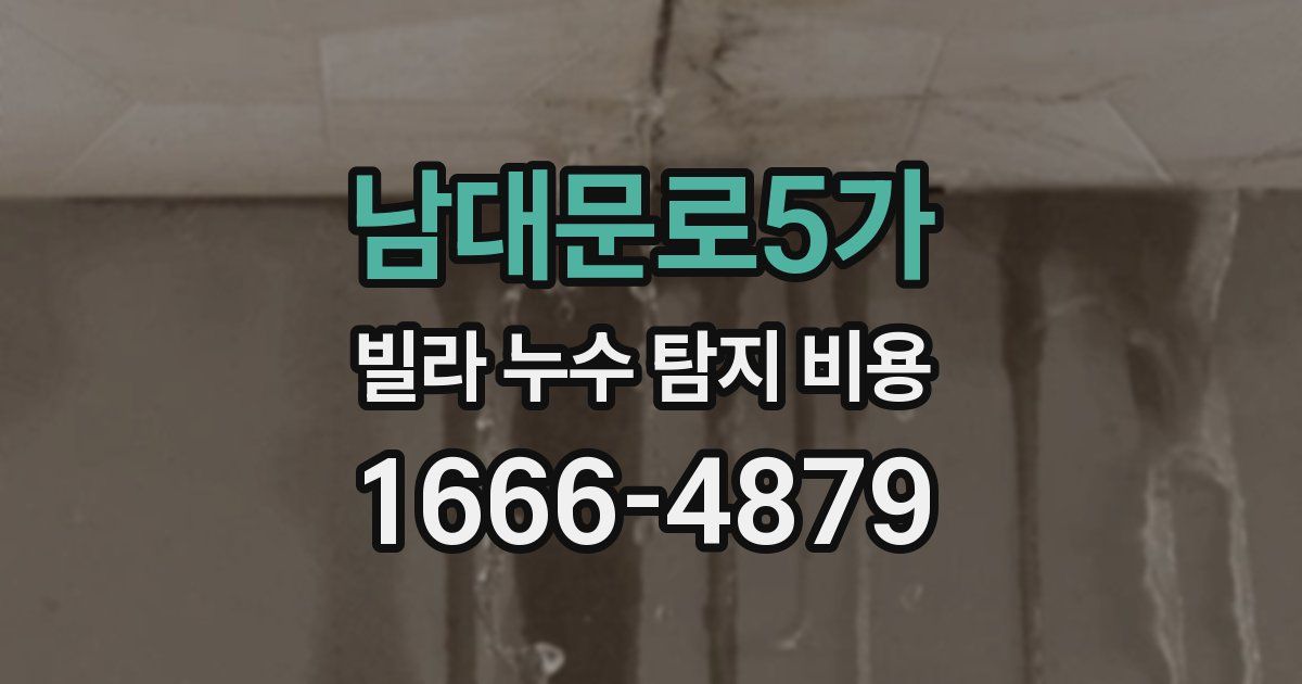남대문로5가 빌라 누수 탐지 비용