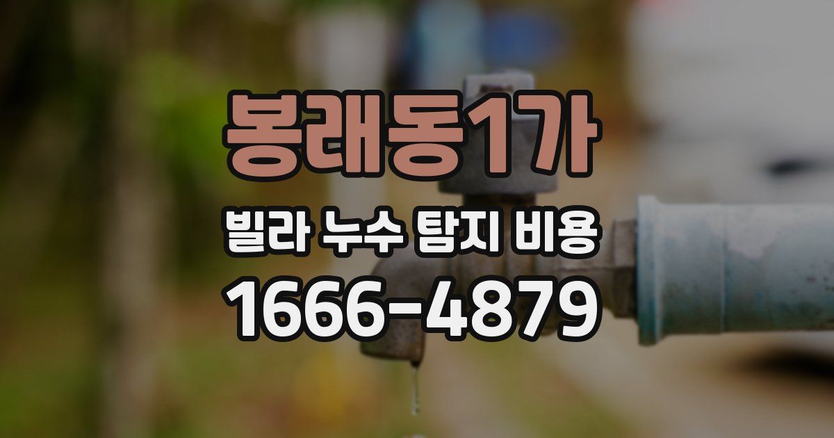 봉래동1가 빌라 누수 탐지 비용