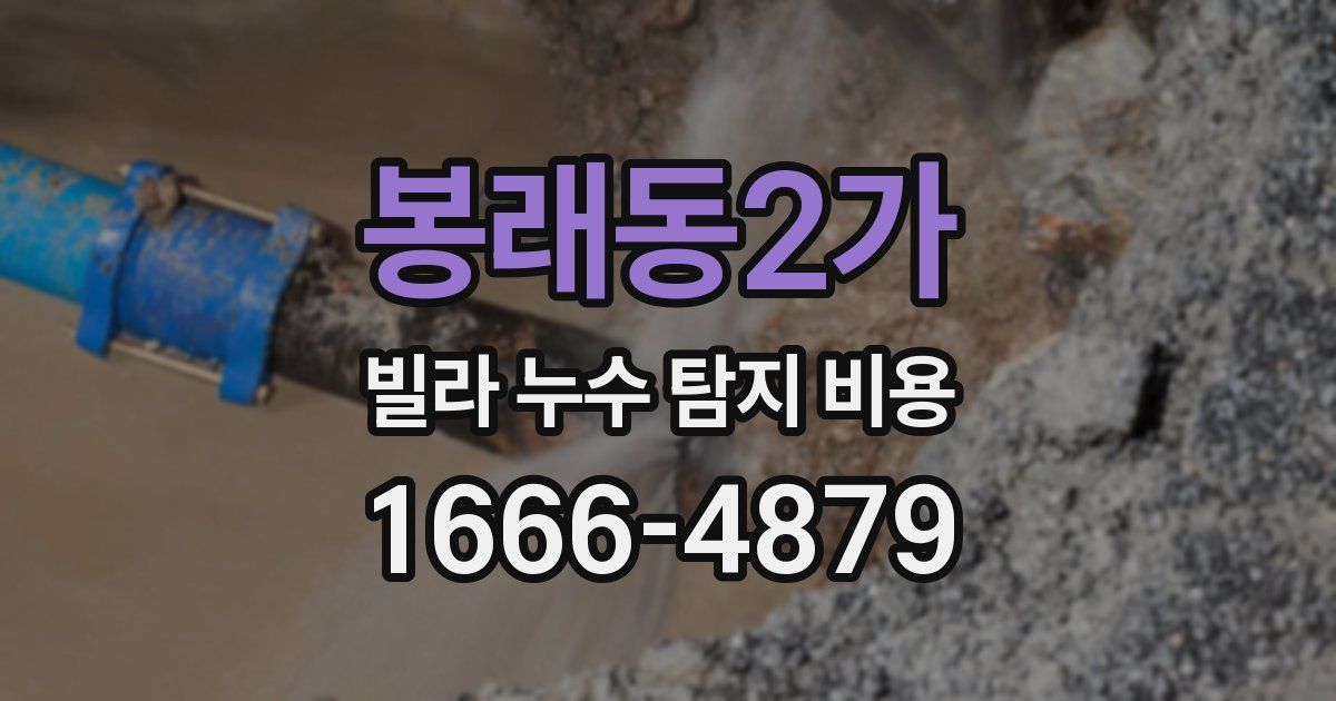봉래동2가 빌라 누수 탐지 비용