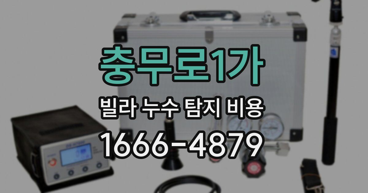 충무로1가 빌라 누수 탐지 비용