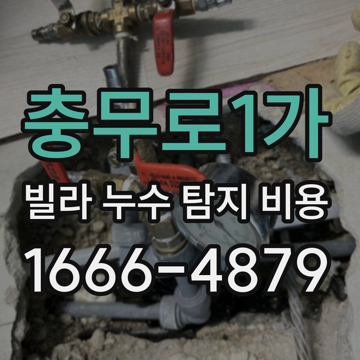 충무로1가 빌라 누수 탐지 비용