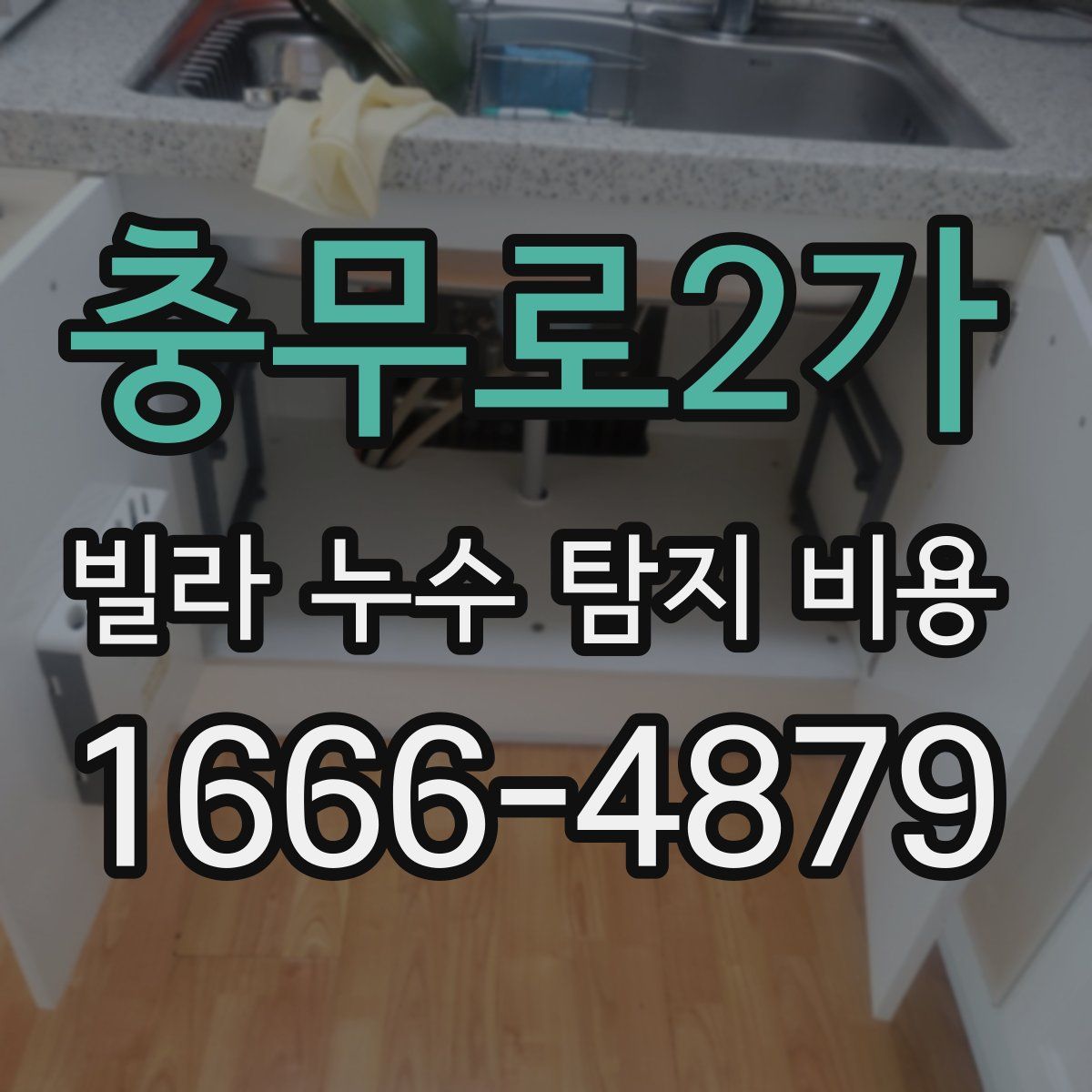 충무로2가 빌라 누수 탐지 비용