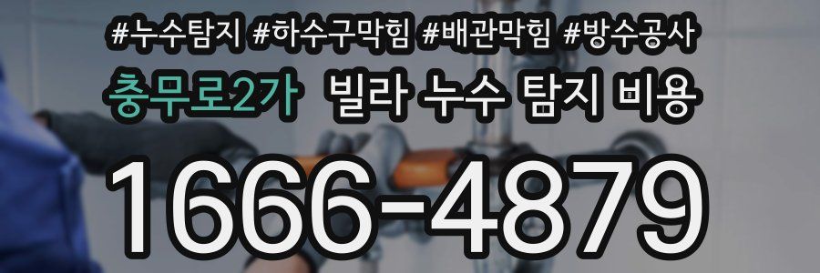 충무로2가 빌라 누수 탐지 비용