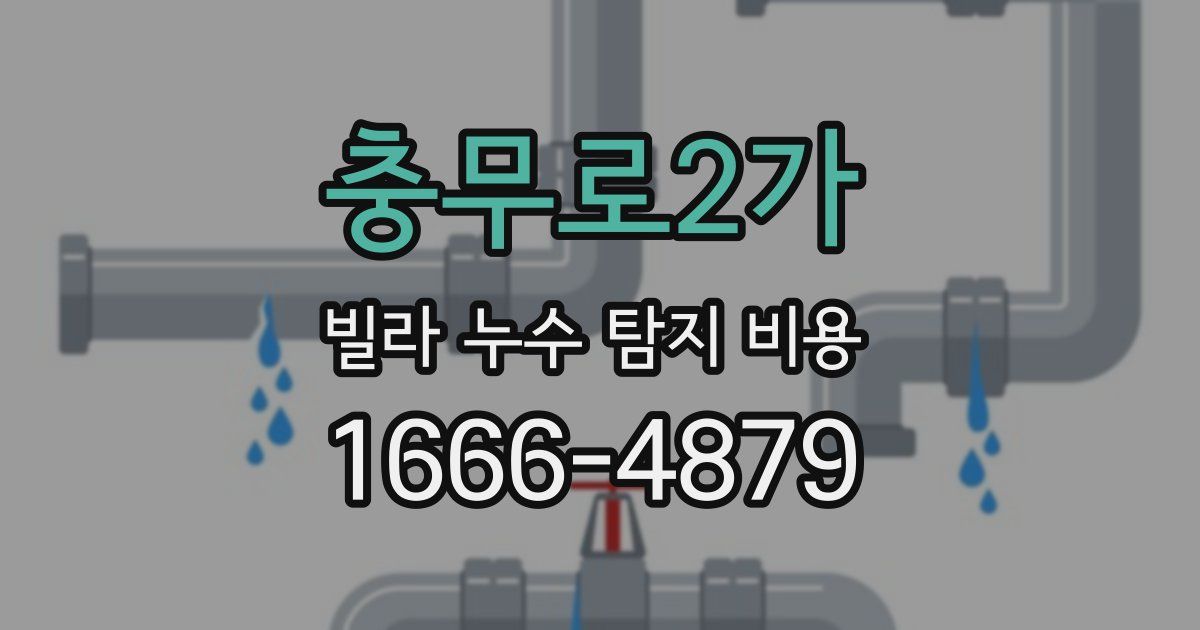 충무로2가 빌라 누수 탐지 비용