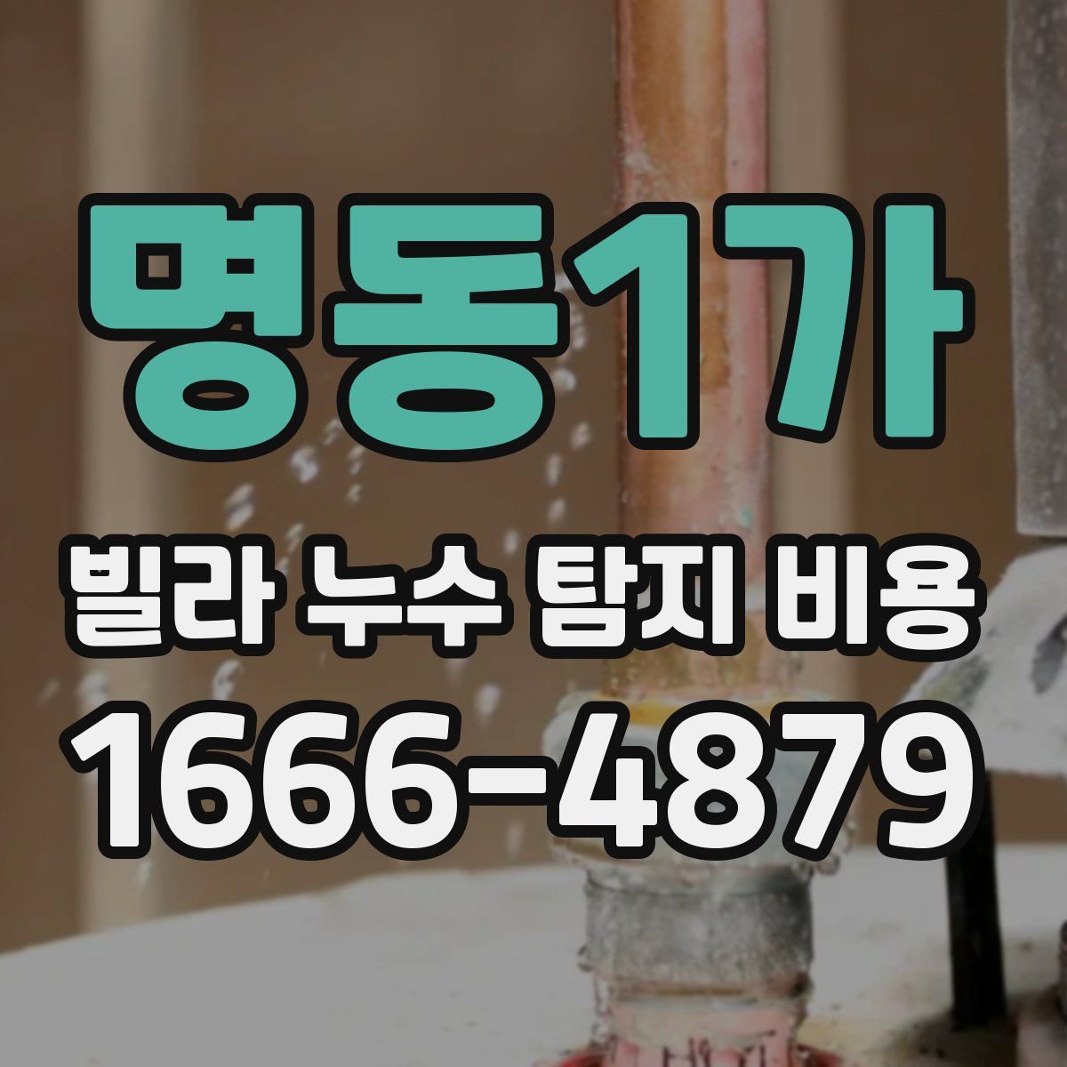 명동1가 빌라 누수 탐지 비용