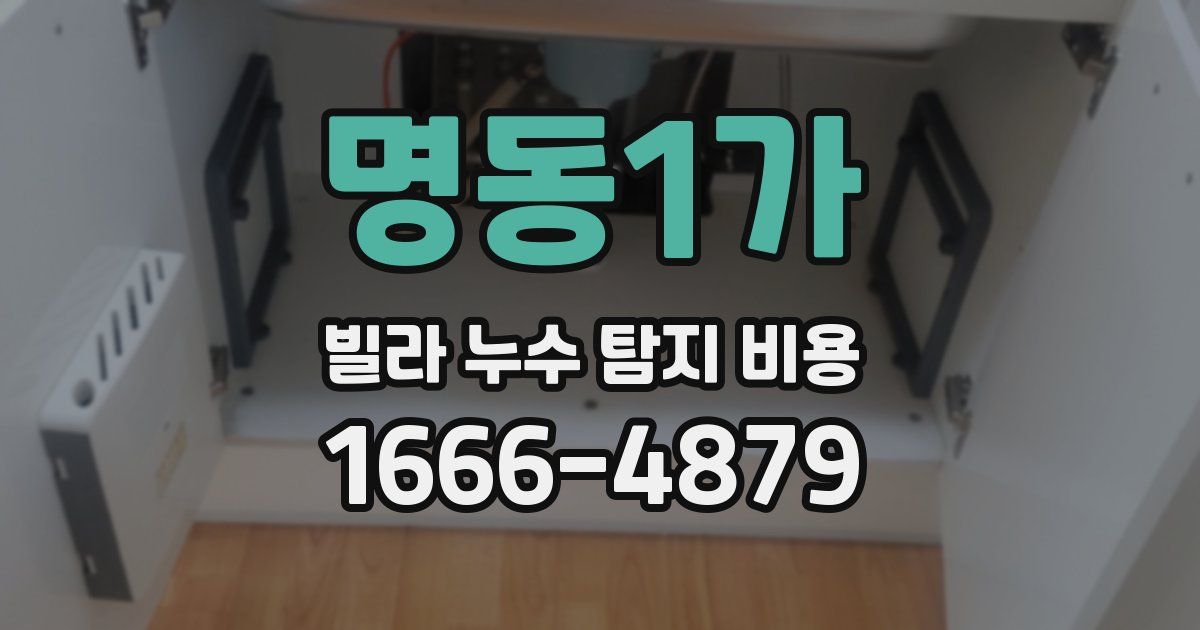 명동1가 빌라 누수 탐지 비용