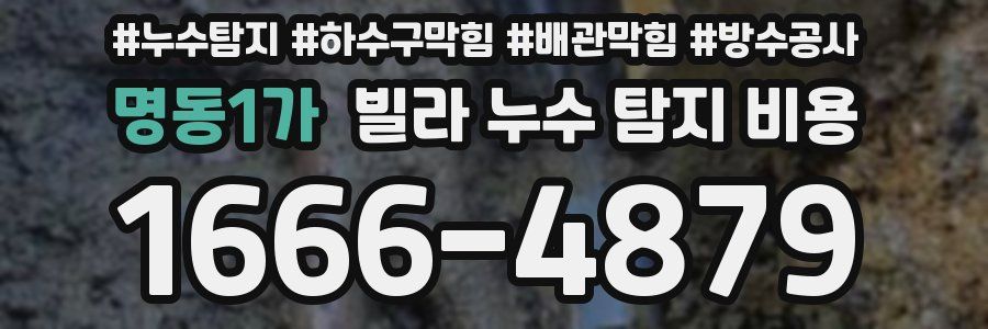 명동1가 빌라 누수 탐지 비용
