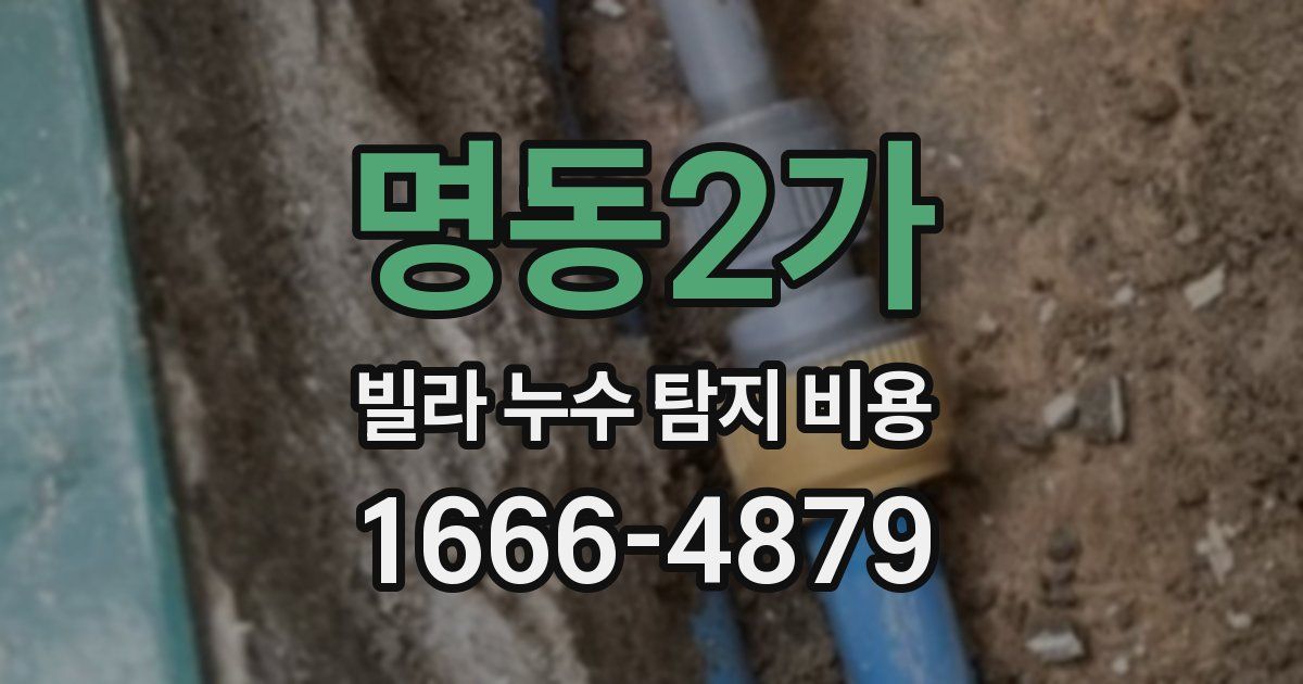 명동2가 빌라 누수 탐지 비용