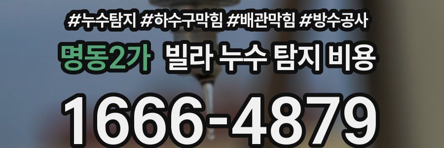 명동2가 빌라 누수 탐지 비용