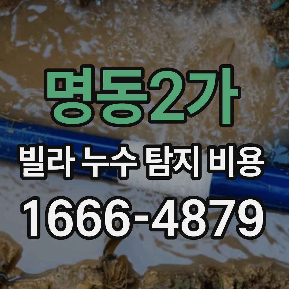 명동2가 빌라 누수 탐지 비용